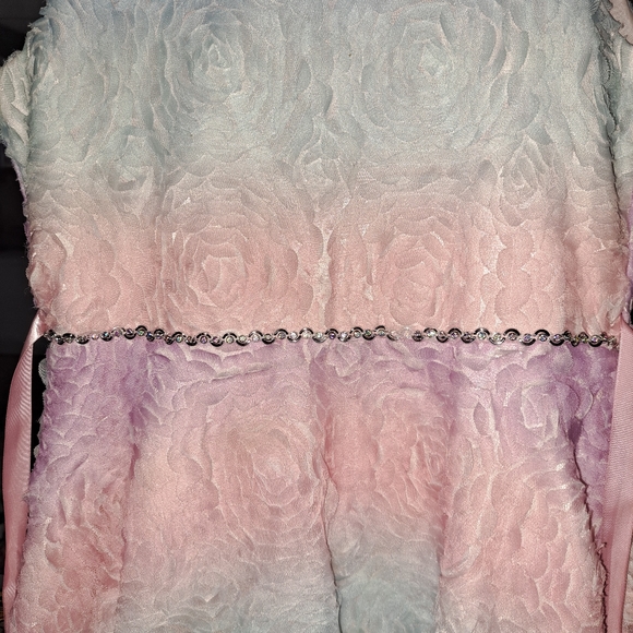 Rare edition Size 12 girl dresses with high low skirt. - Picture 13 of 17